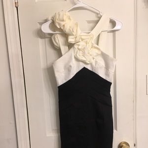 Jessica McClintock Designer Dress